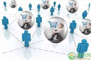 如何做好農(nóng)產(chǎn)品電商